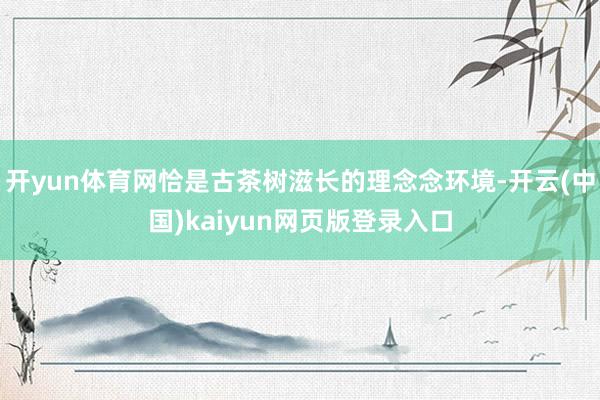开yun体育网恰是古茶树滋长的理念念环境-开云(中国)kaiyun网页版登录入口