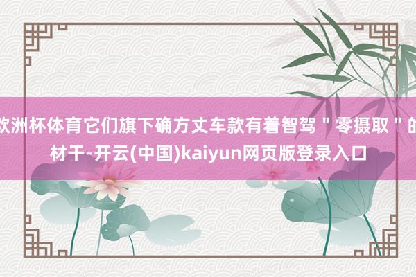欧洲杯体育它们旗下确方丈车款有着智驾＂零摄取＂的材干-开云(中国)kaiyun网页版登录入口