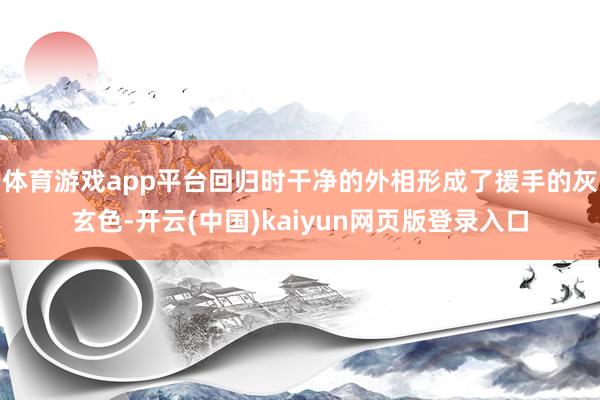 体育游戏app平台回归时干净的外相形成了援手的灰玄色-开云(中国)kaiyun网页版登录入口